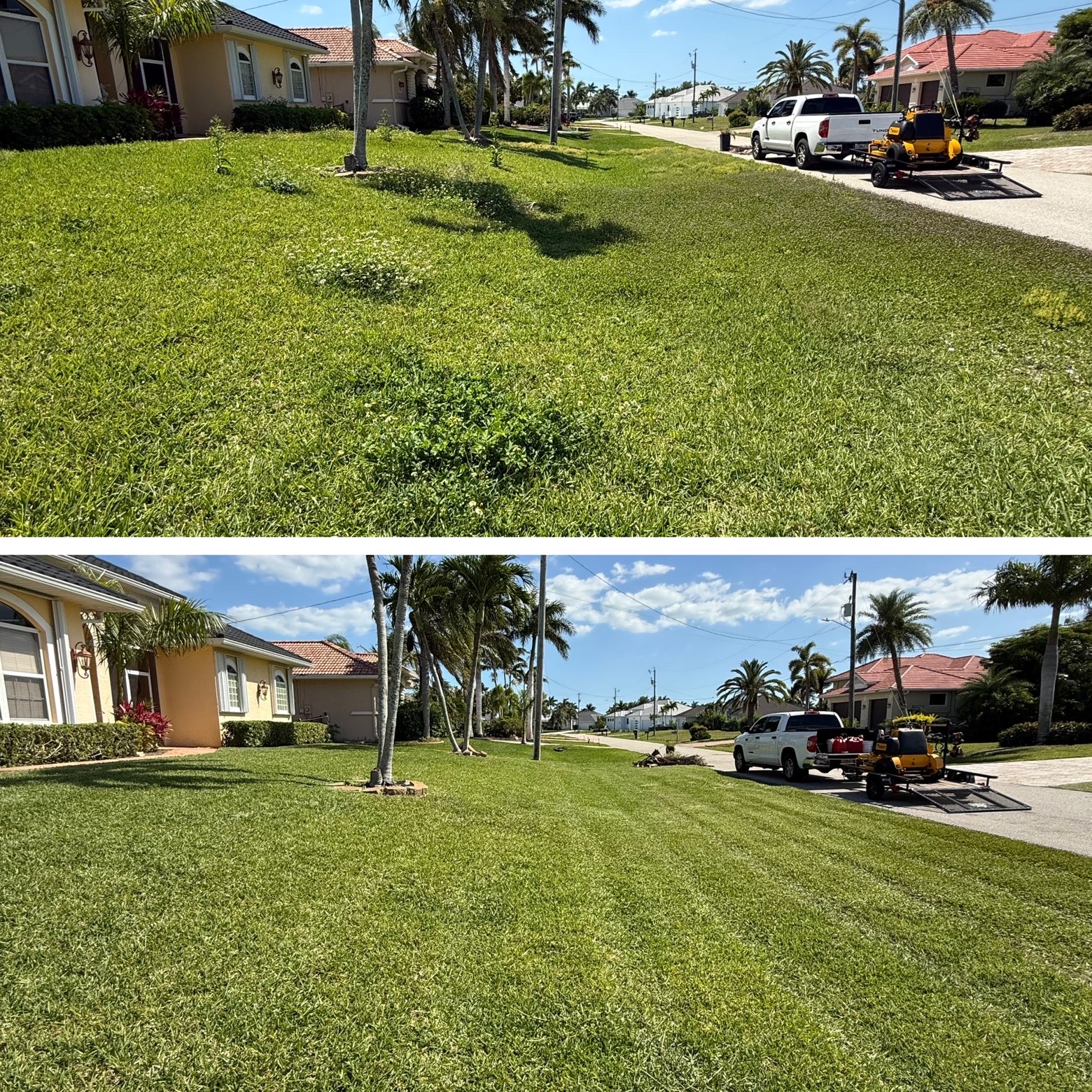 Weedy front lawn mowed and edged into a clean finish