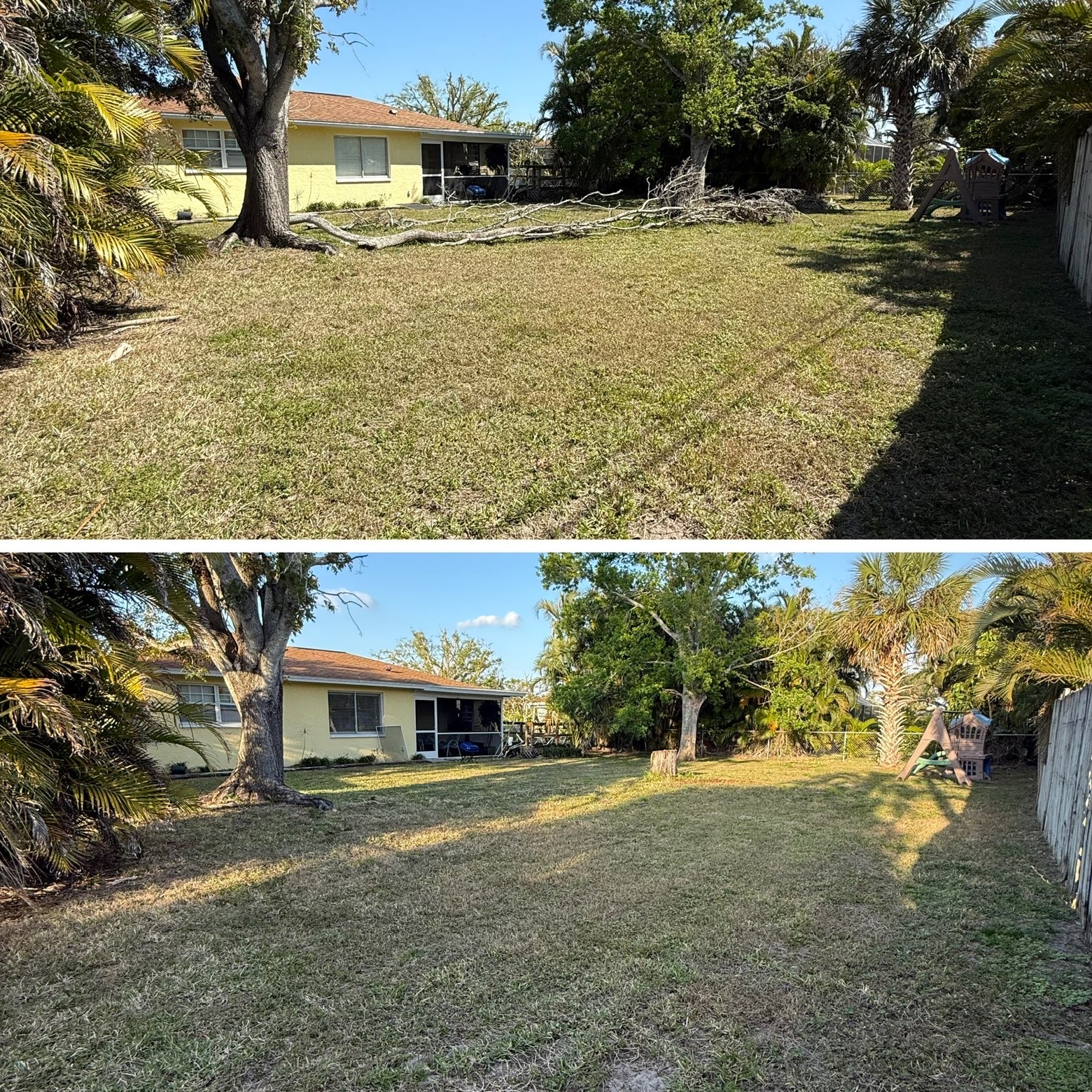 Backyard cleared of fallen branches and tidied up