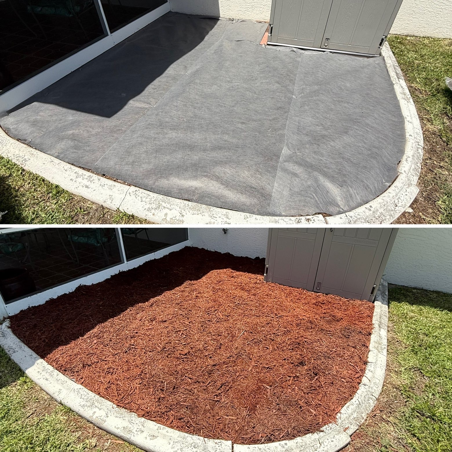 Fresh red mulch bed installed by shed
